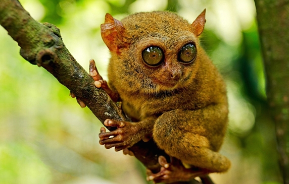 The Riviera Residences